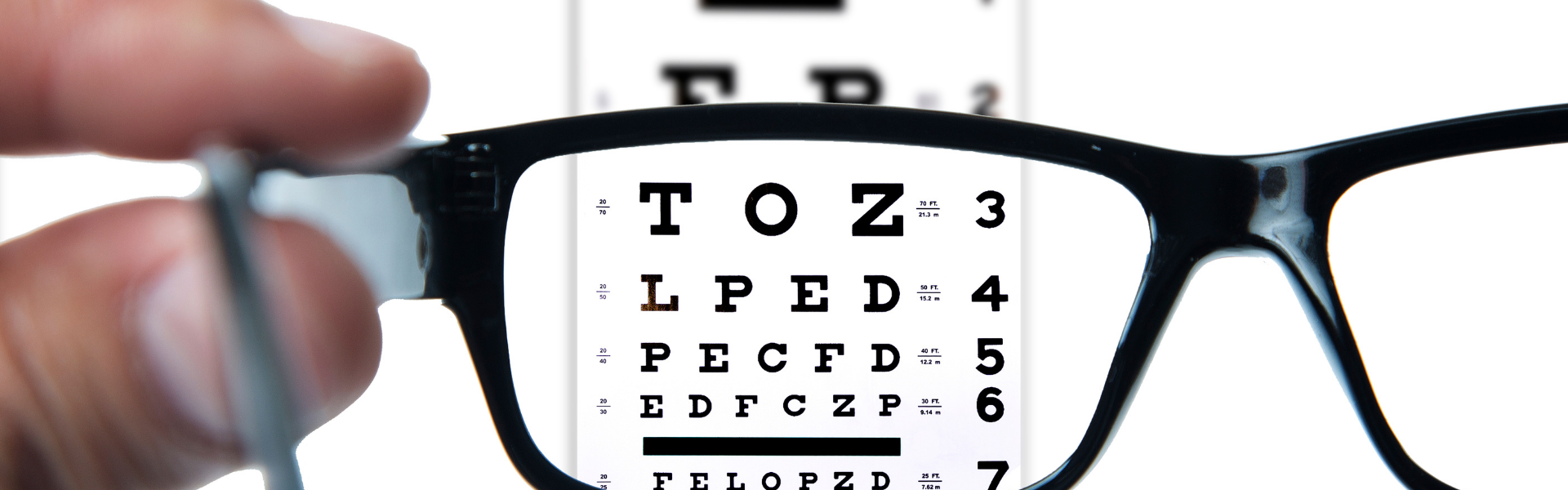 The Optical Co